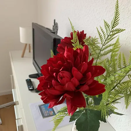 Ferienwohnung-brunken-rust דירה